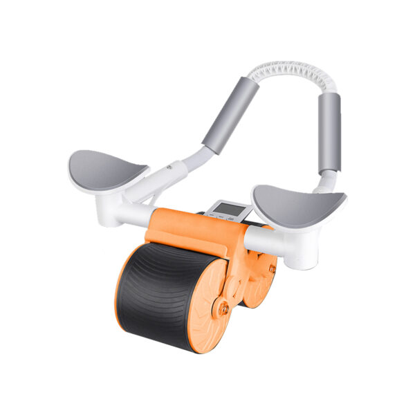 Ab roller wheel - Image 2